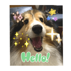 Harchan_20251129220959