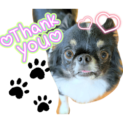 mashu_20251129221323