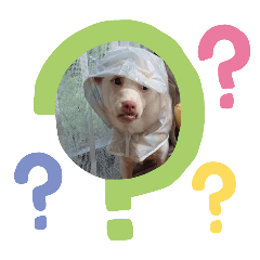 Saori_20251129221358