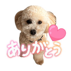 kinachi_20251129211853