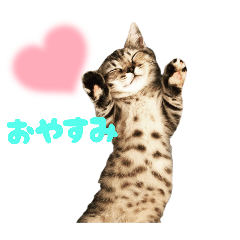 Betty_20251129223837