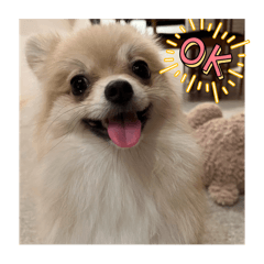 Mr.popo_20251130001031