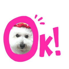 samansa_20251130004500