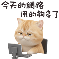 ヾ(*ΦωΦ)ツ小貓貓網路用的夠多了