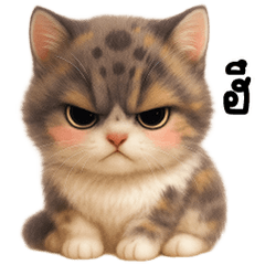 เหมี๊ยวเปรอะขนฟู น่ารัก