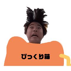 papgajg_20251129112650
