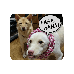 Saori_20251130083600