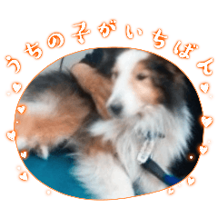 minto_20251130100705