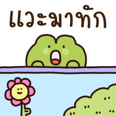 บิ๊ก ฟร็อก กบ ❤️ น่ารัก