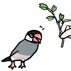 桜文鳥チャッピー第5弾 Line スタンプ Line Store 桜文鳥チャッピー第5弾 Line スタンプ Line Store