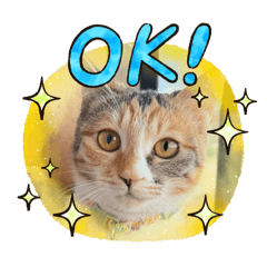 mizuki_20251130104514