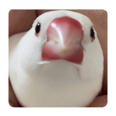 ayakonbu_20251130102929