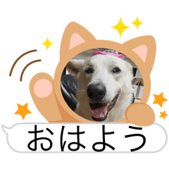 ♡イヴすたんぷ♡