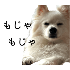 Yukimaru_20251130110929