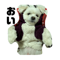 Natsu_20251130194527