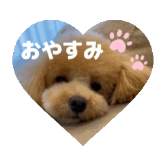 Louis_20251130204731