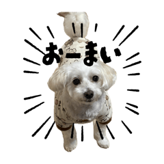 issei_20251127030728