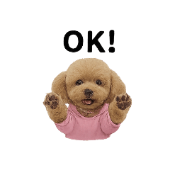 I LOVE TOY POODLE by hisappi