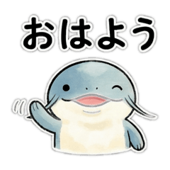 Polite Catfish Stickers for Daily Chat