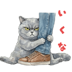 Furious Face, Heavy Love Cat