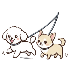 range3_20251128034726