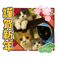 mizuki_20251130114139