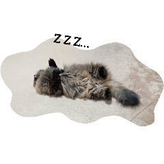 Mimige_20251130114439