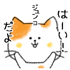 Name Series/cat: Sticker for Junko