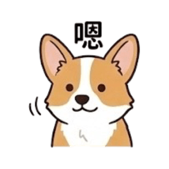 Q版柯基的快樂日常