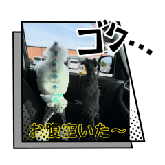 Belle_20251130140002