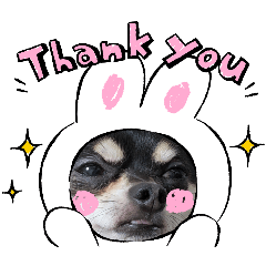 shinomaro_20251130140755