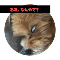 ponta_20251130140912