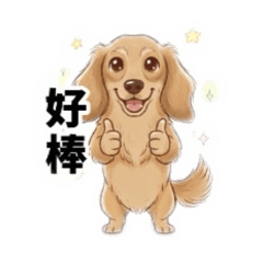 韓家迪迪日常用語