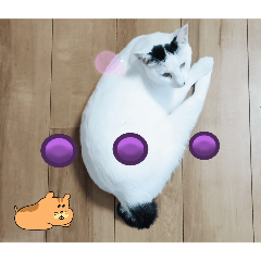 Maria_20251130142410