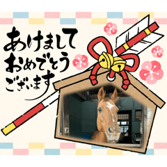 winwin_20251130143333