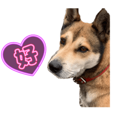 hayate_20251130143107