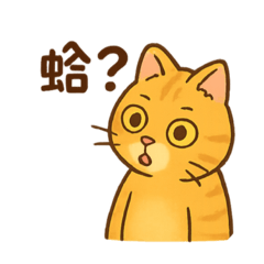 橘貓的日常問候