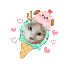 hitomi_20251201000836