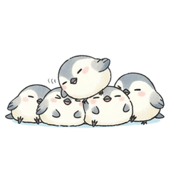 ใช้งานง่าย　นกหางยาว