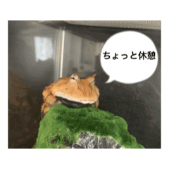 beekon_20251128151901