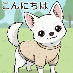 Moco the Adorable Chihuahua