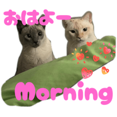 Haruka_20251129203733