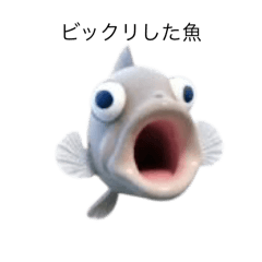 happy_20251129201716