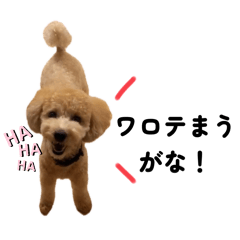 kinachi_20251130154212