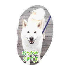 spika_20251130153644