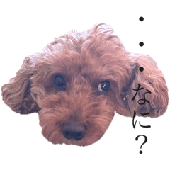 HINAKO_20251130213834