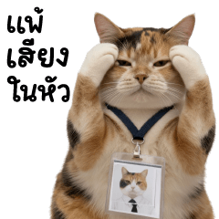 ต้าวสามสี ❤️ ตัวตึงออฟฟิศ