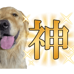 Rotts_20251128180538