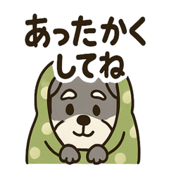 Schnauzer Daily Cute Phrases