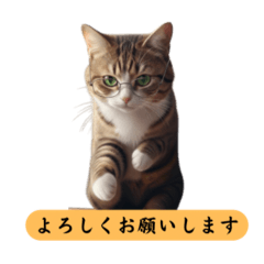 Polite Cat for Work Stickers